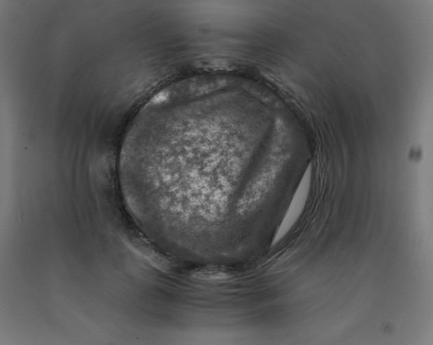 X0000092000747200709271508