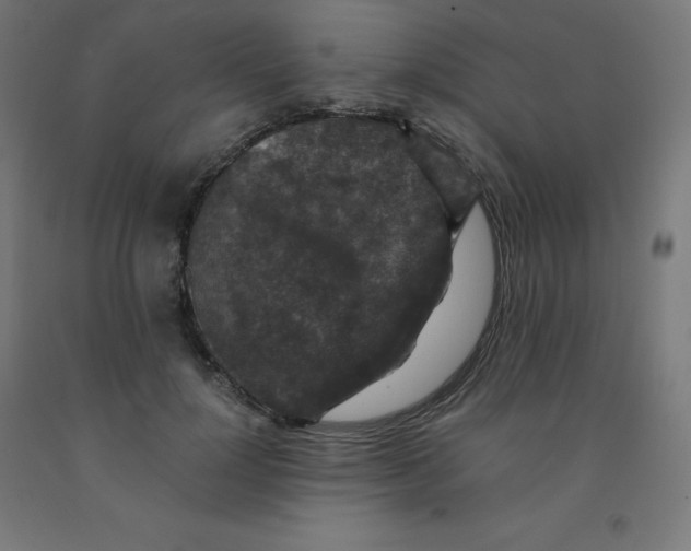 X0000092000748200709271508