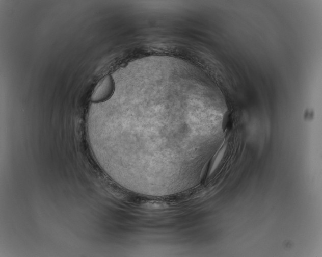 X0000092000749200709271508