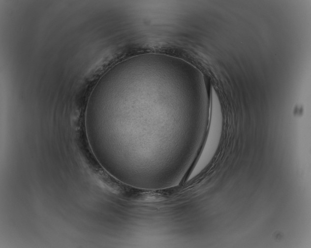 X0000092000750200709271508