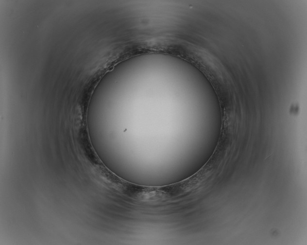 X0000092000752200709271508