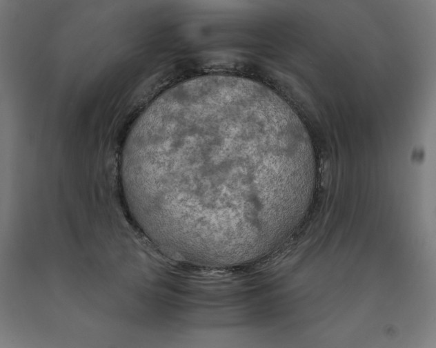 X0000092000753200709271508