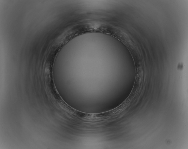 X0000092000754200709271508