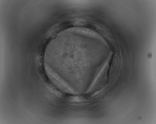 X0000092000755200709271508