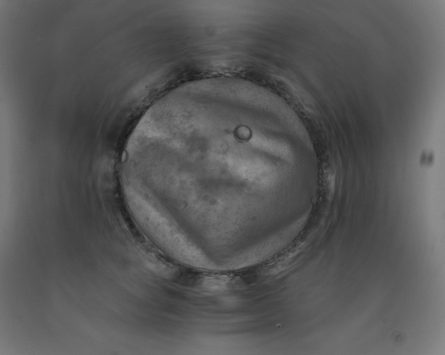 X0000092000757200709271508