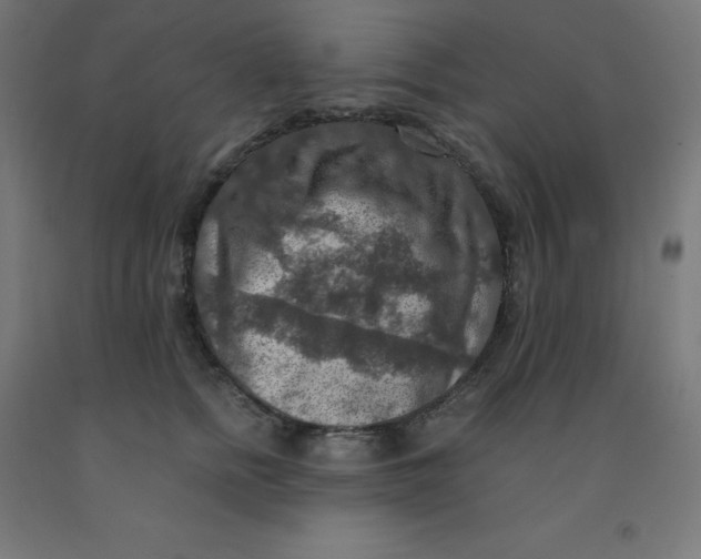 X0000092000758200709271508