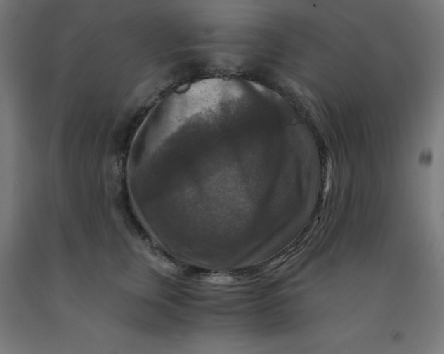 X0000092000759200709271508