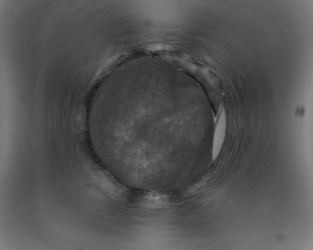 X0000092000760200709271508