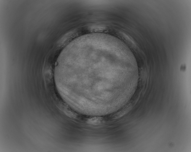 X0000092000761200709271508