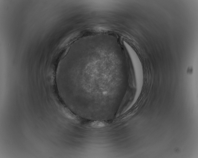 X0000092000762200709271508