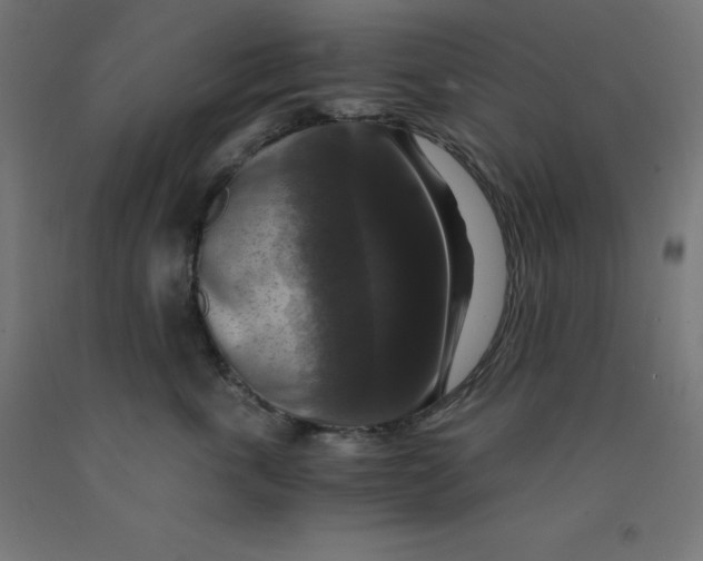 X0000092000763200709271508