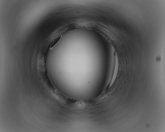 X0000092000764200709271508