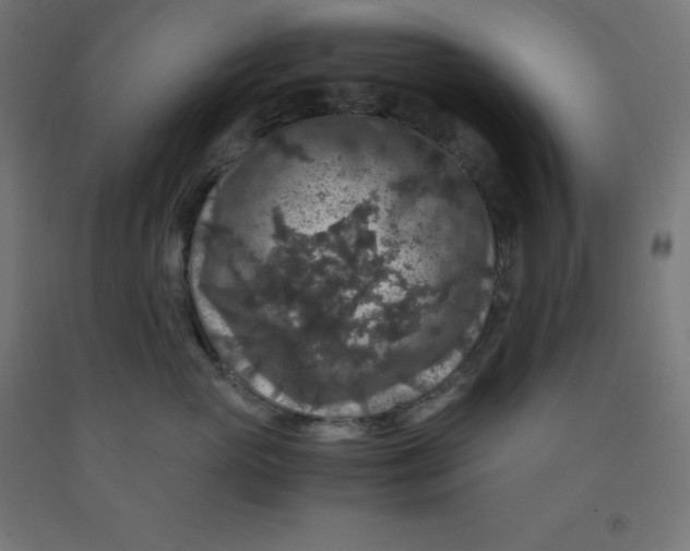 X0000092000765200709271508