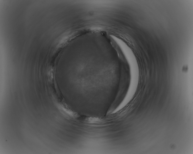 X0000092000766200709271508