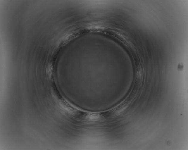 X0000092000767200709271508