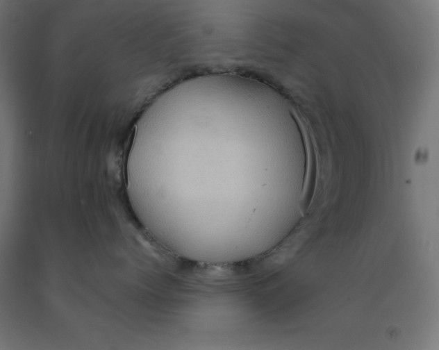 X0000092000768200709271508