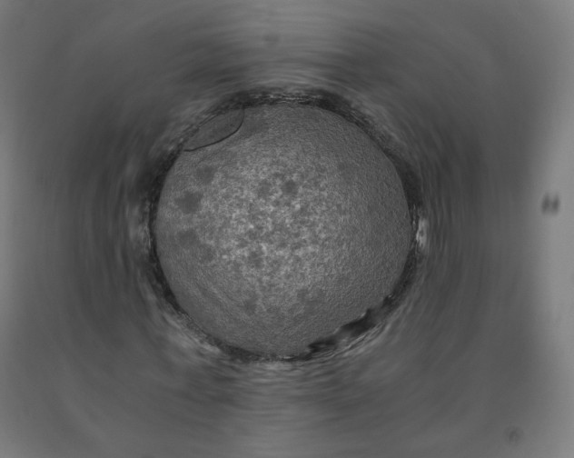 X0000092000771200709271508