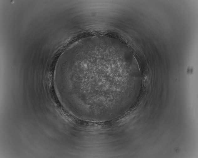 X0000092000772200709271508