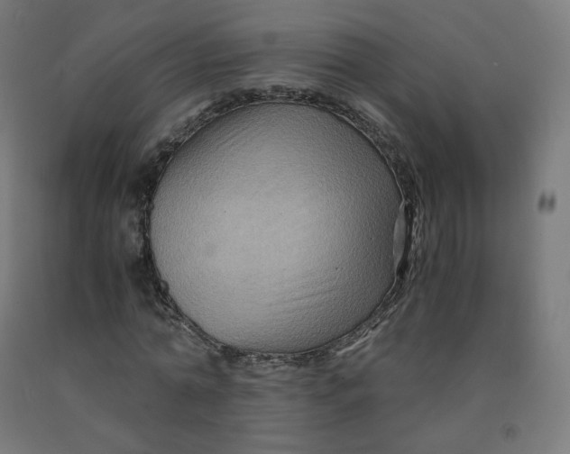 X0000092000774200709271507