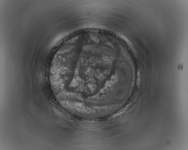 X0000092000775200709271507