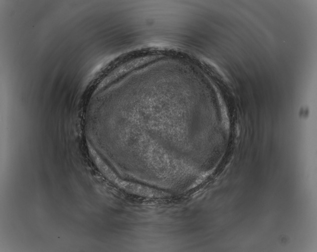 X0000092000776200709271507