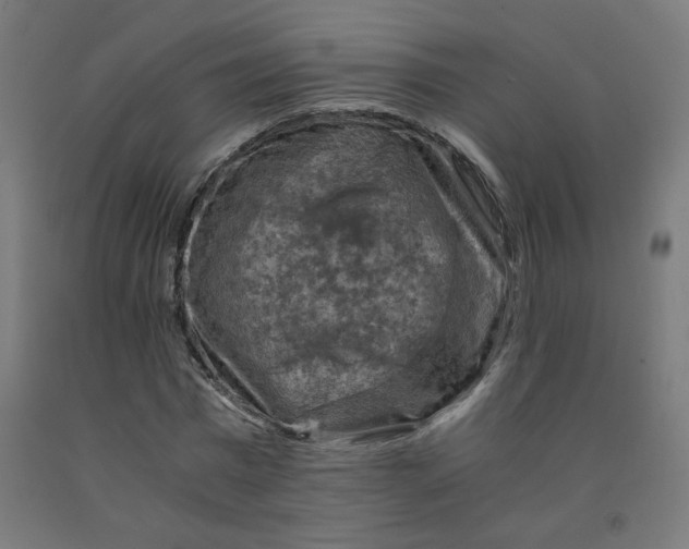 X0000092000777200709271507