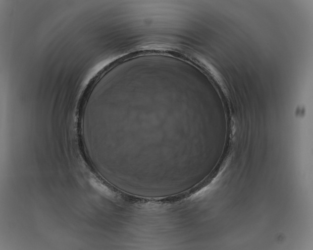 X0000092000779200709271507