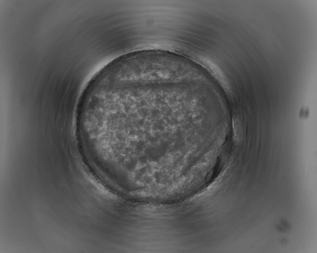 X0000092000780200709271507