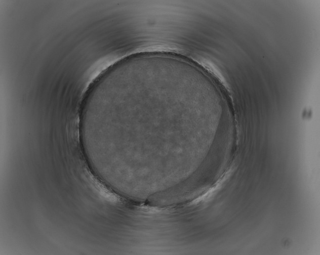 X0000092000781200709271507