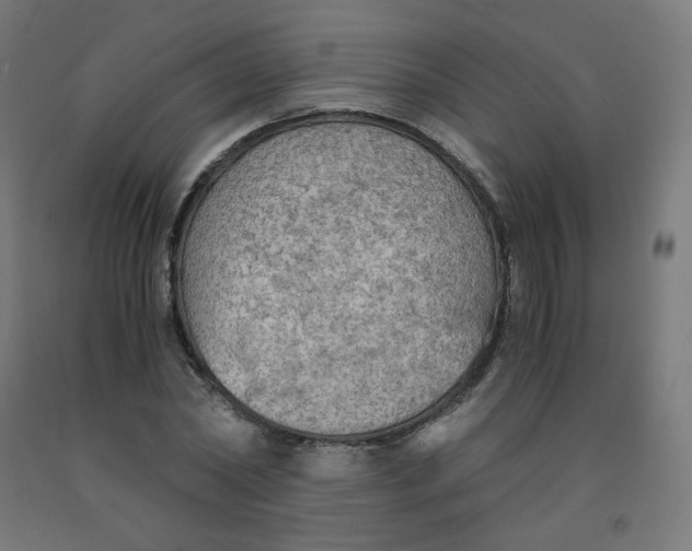 X0000092000782200709271507