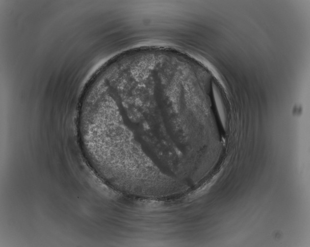 X0000092000783200709271507