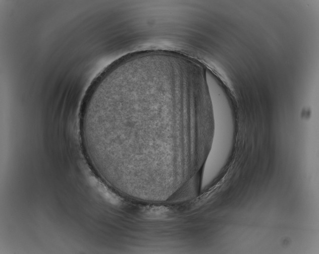 X0000092000784200709271507