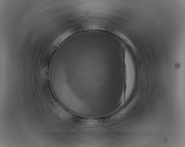 X0000092000785200709271507