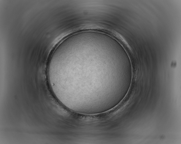 X0000092000786200709271507