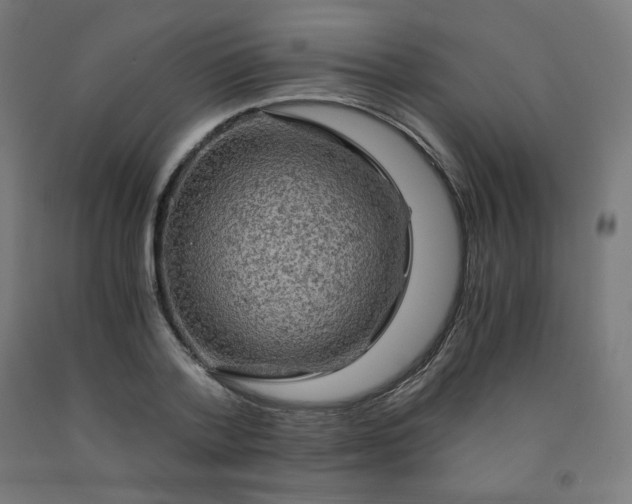 X0000092000788200709271507