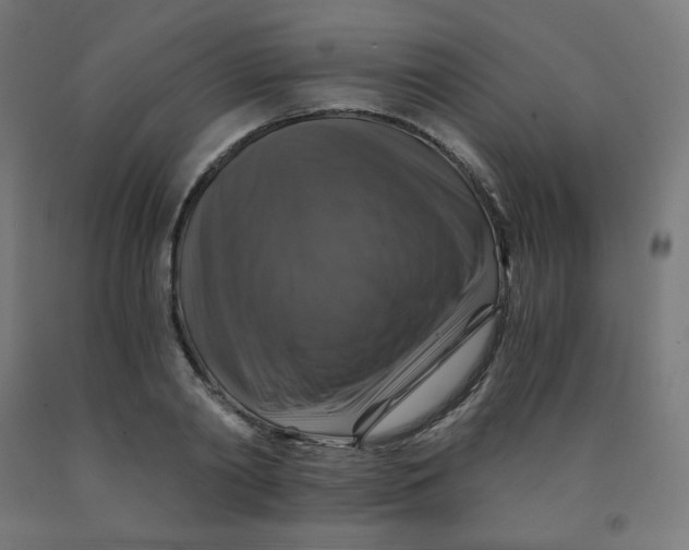 X0000092000790200709271507