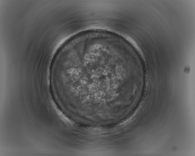 X0000092000791200709271507