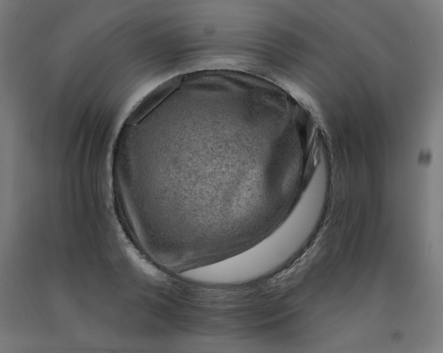 X0000092000792200709271507