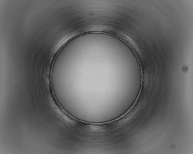 X0000092000794200709271507