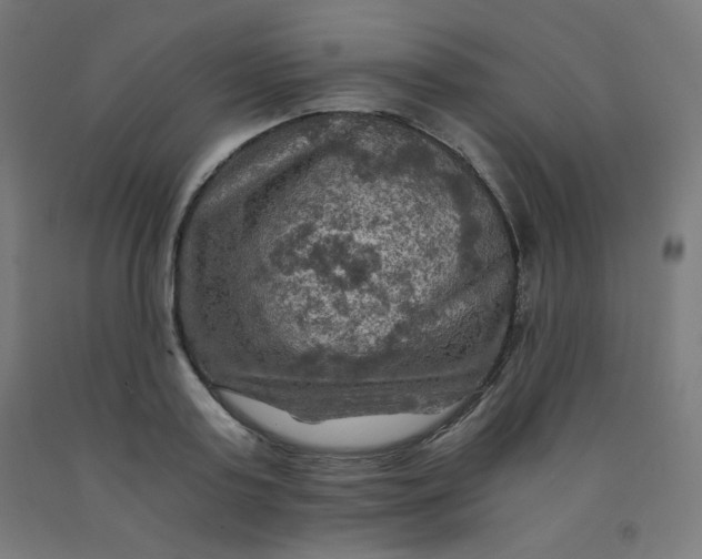 X0000092000795200709271507