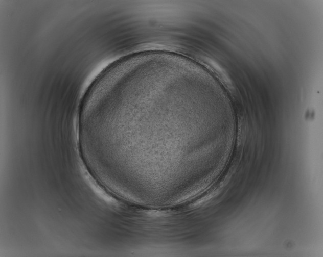 X0000092000796200709271507