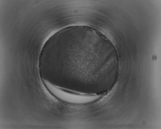 X0000092000797200709271507