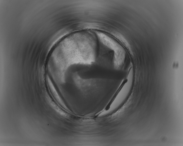 X0000092000798200709271507