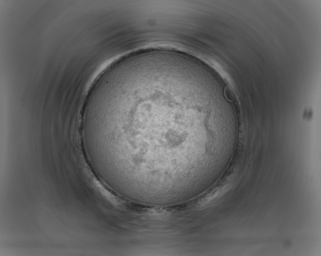 X0000092000799200709271507