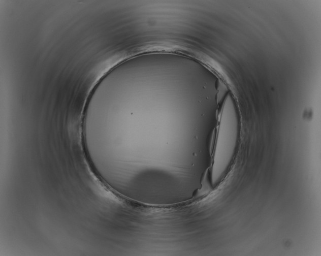 X0000092000802200709271507