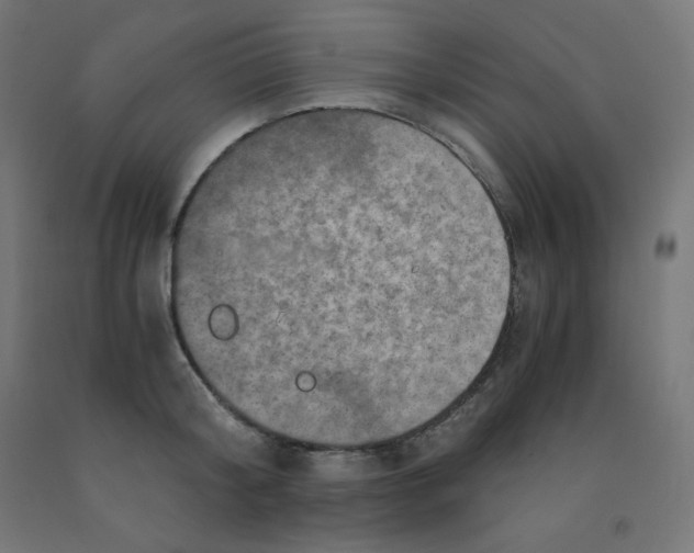 X0000092000804200709271507