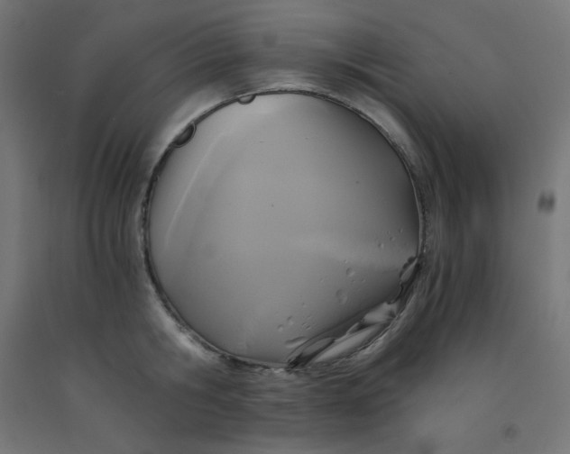 X0000092000806200709271507