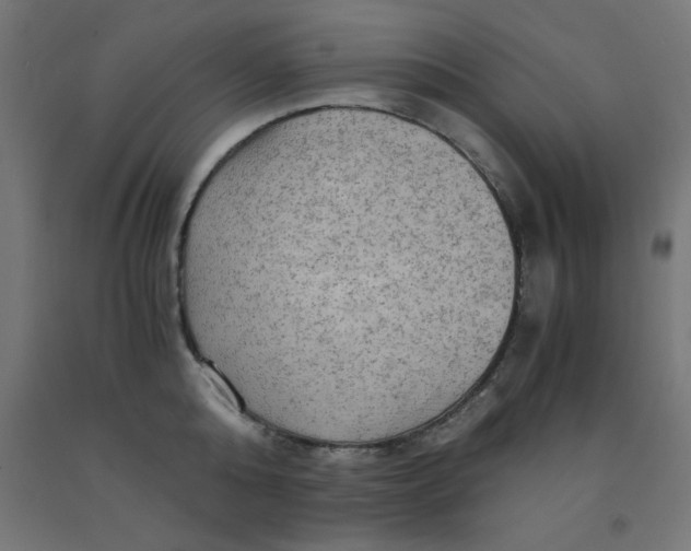 X0000092000808200709271507