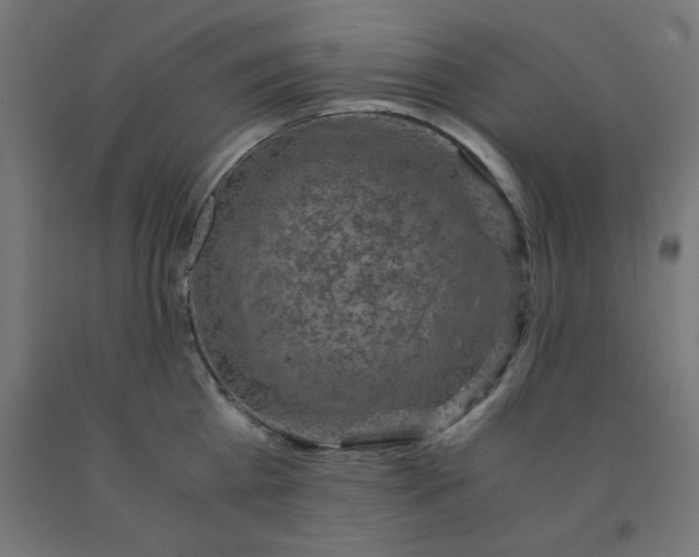 X0000092000809200709271507