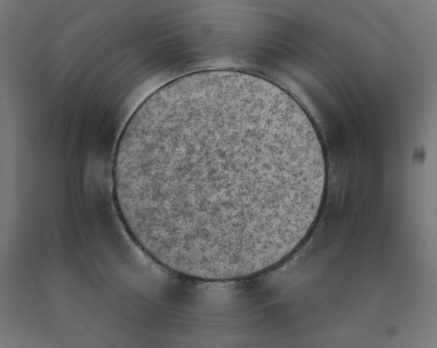 X0000092000810200709271507